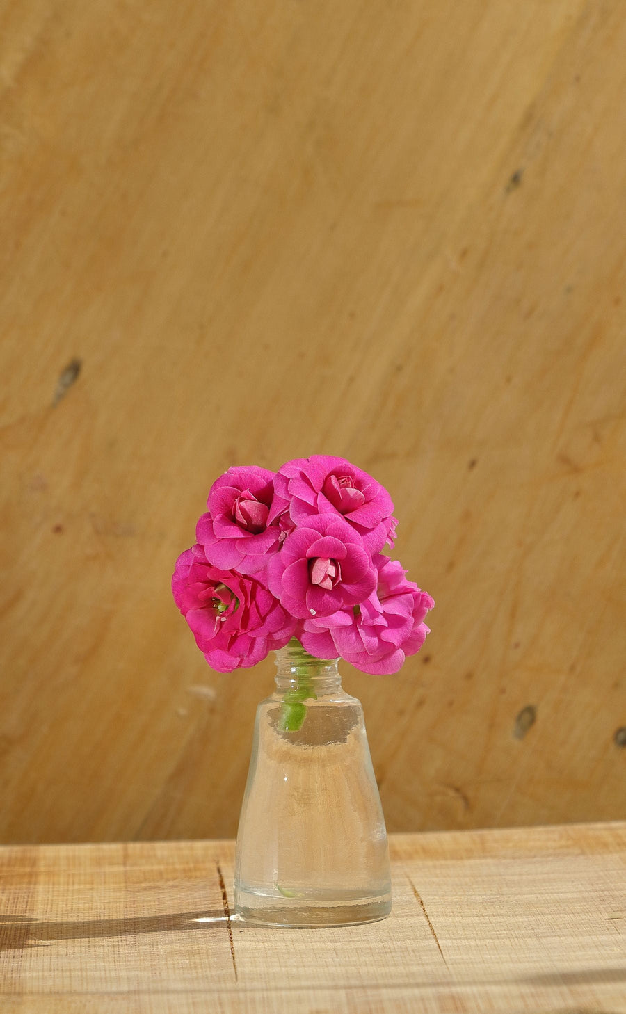 A small vase of bright pink roses at home