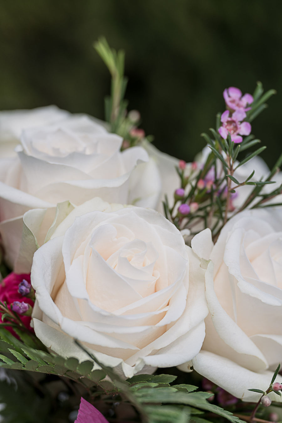 Cream roses with pink accents and green foliage