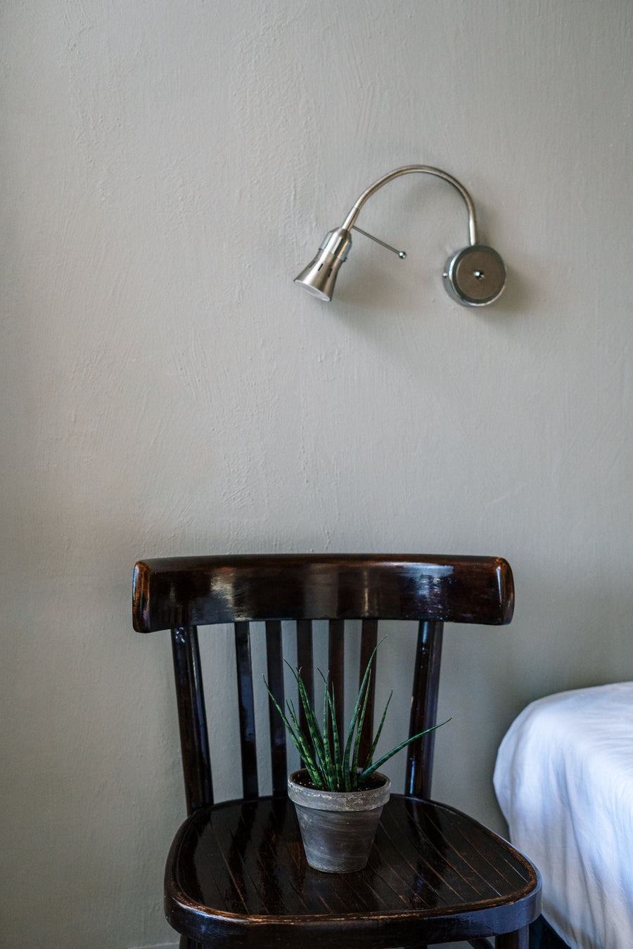 A single potted plant beside a reading chair