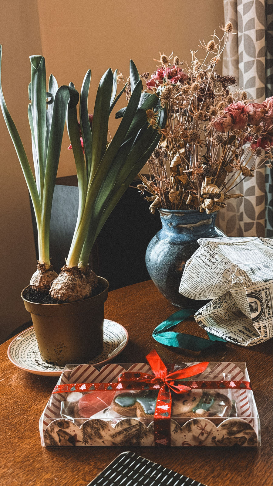 Potted plant beside a wrapped gift