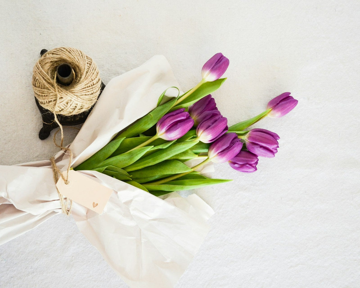 Wrapped purple tulips