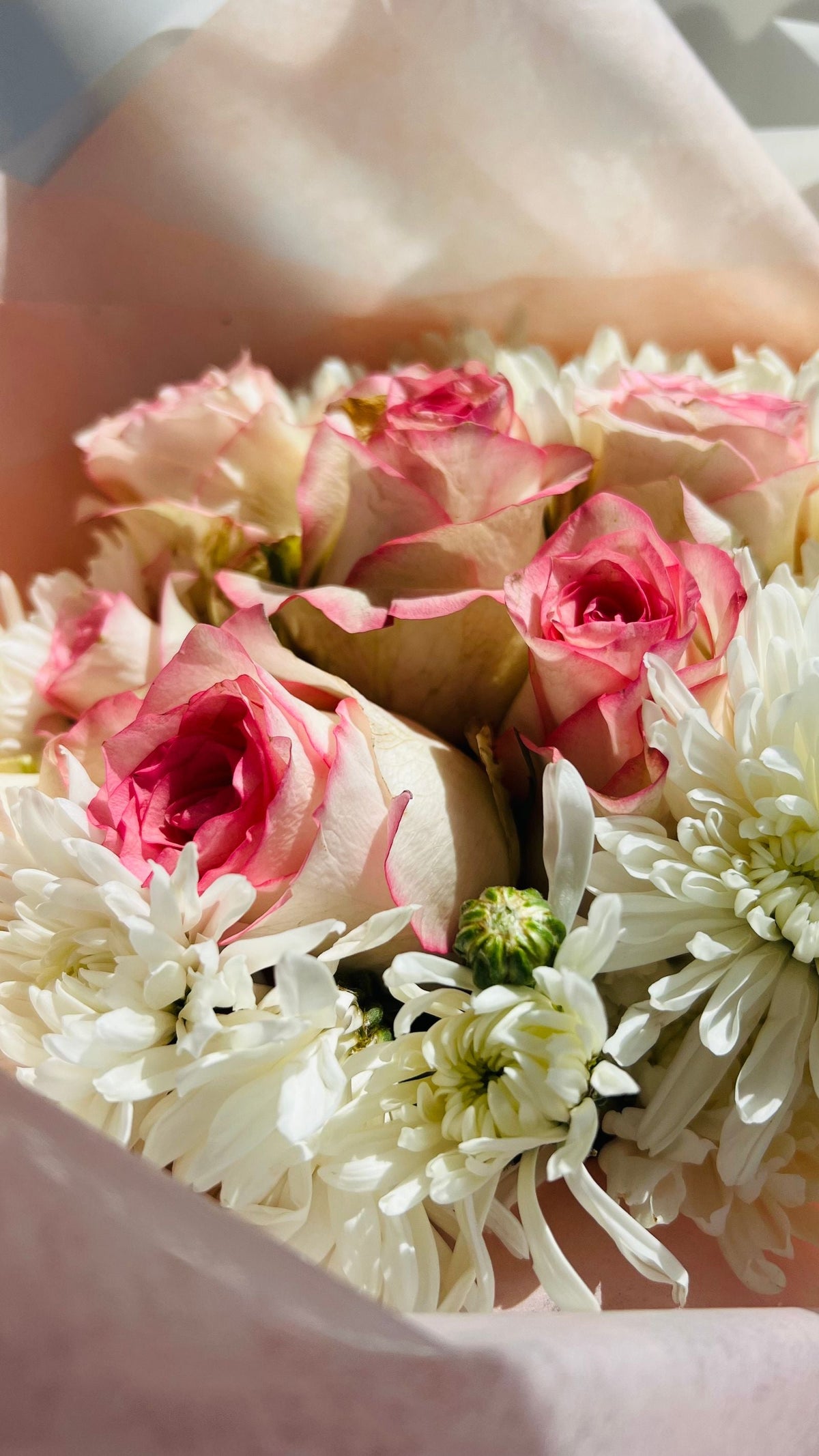 The Luma Floral Edit