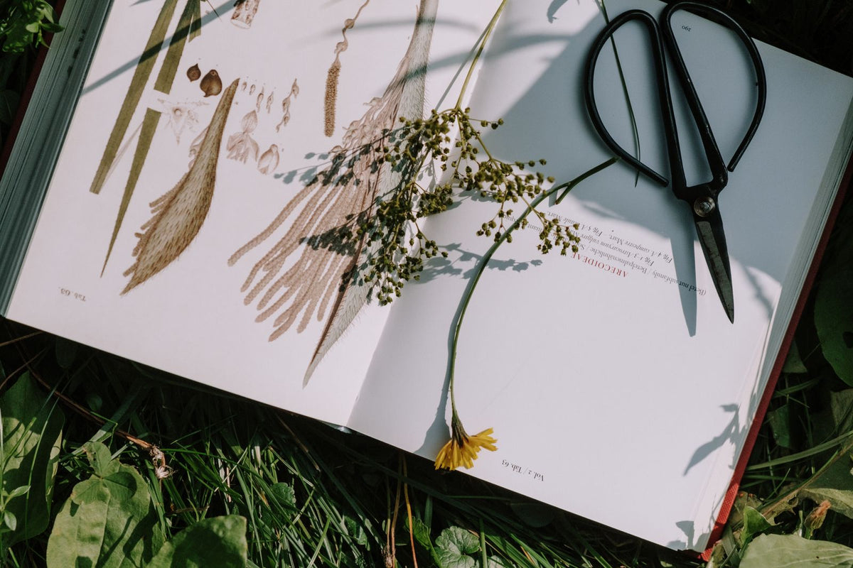 Botanical notebook with flowers and scissors