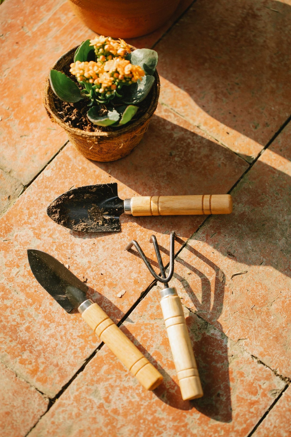 Gardening Supplies