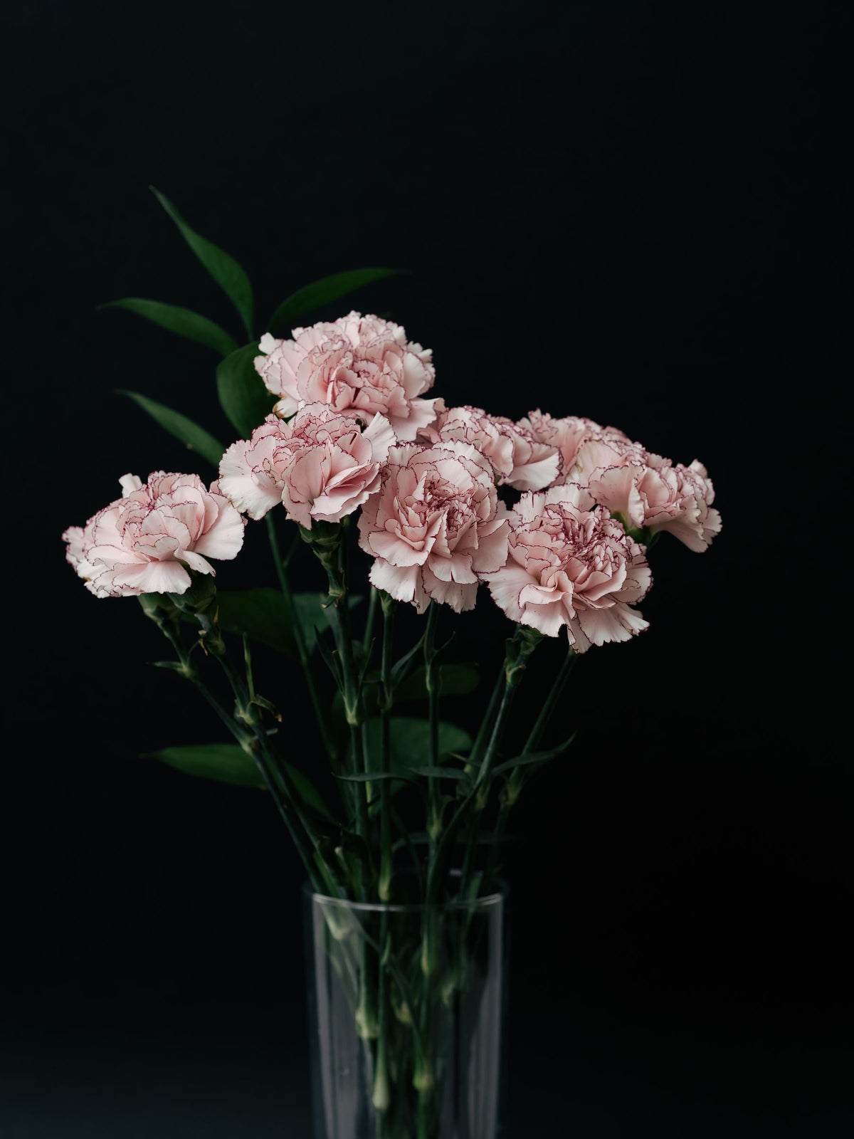 Long-Lasting Flowers