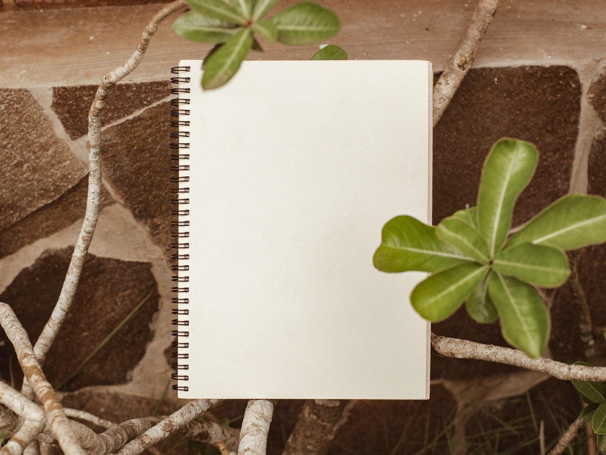 Plant Care eBooks