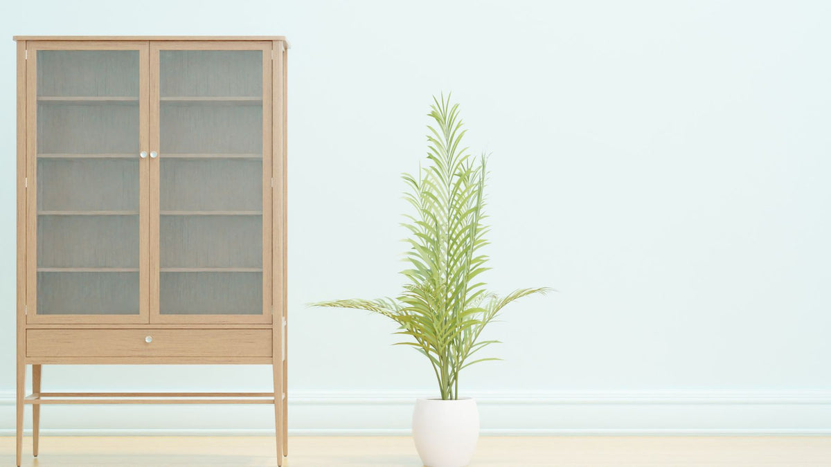 Compact plant styling beside a wooden shelf