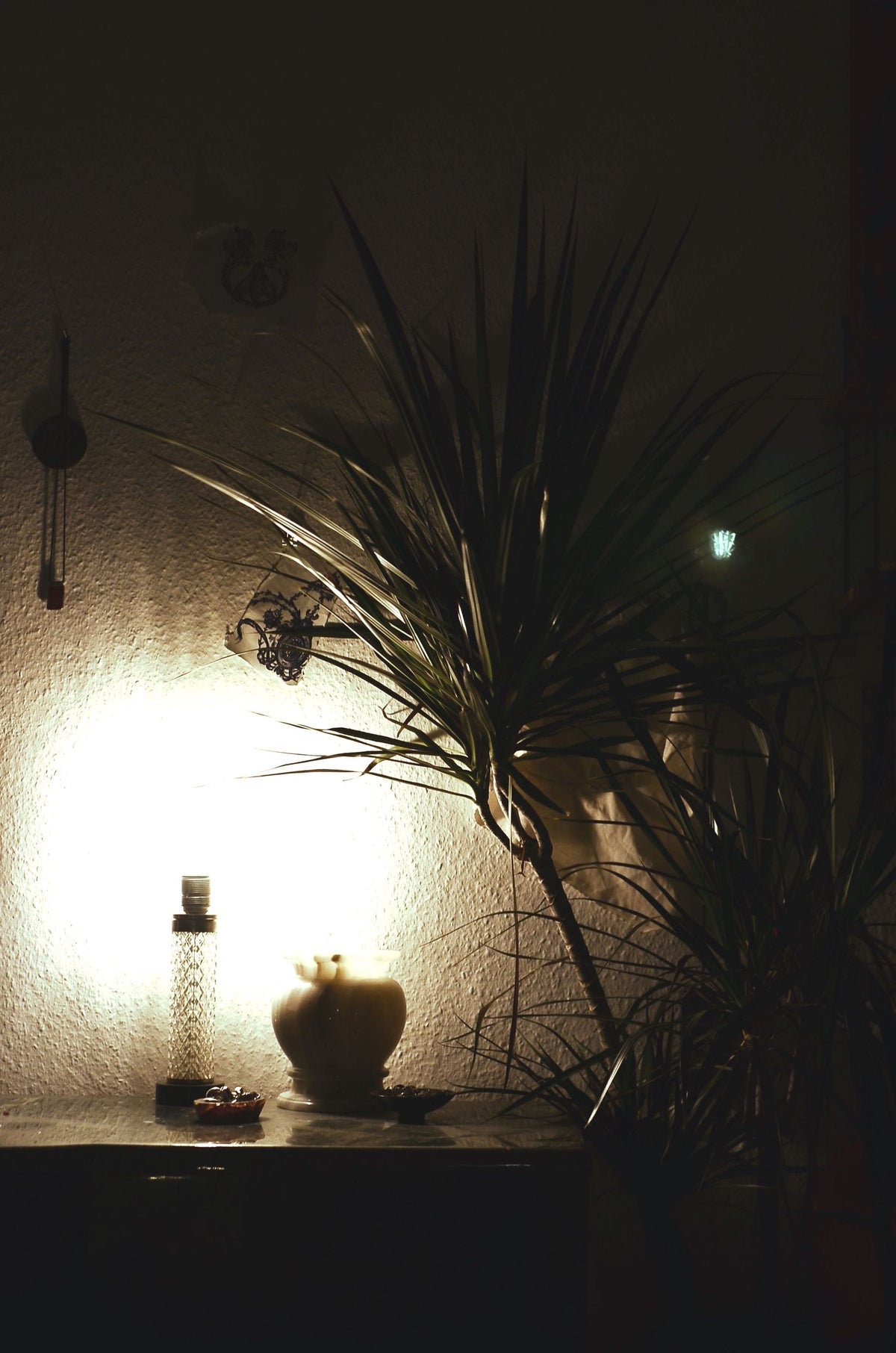 Low Light Bundle