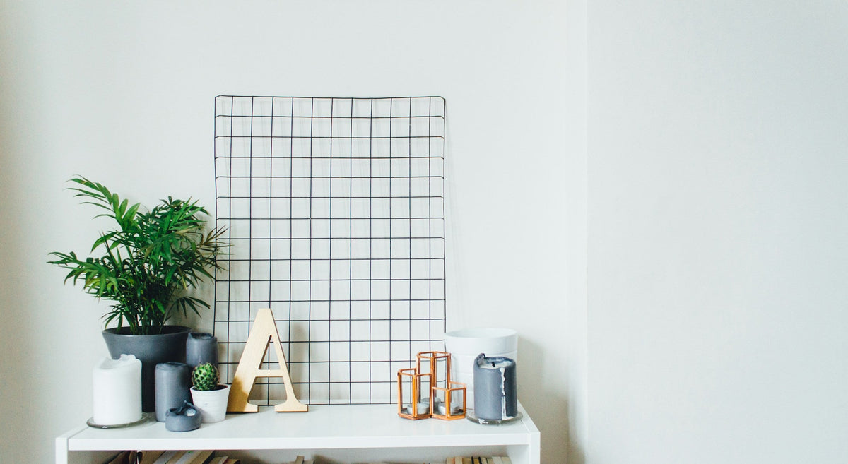 Potted plants in a minimal interior