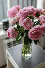 Reference: pink floral colour palette, not a photograph of lily stems.