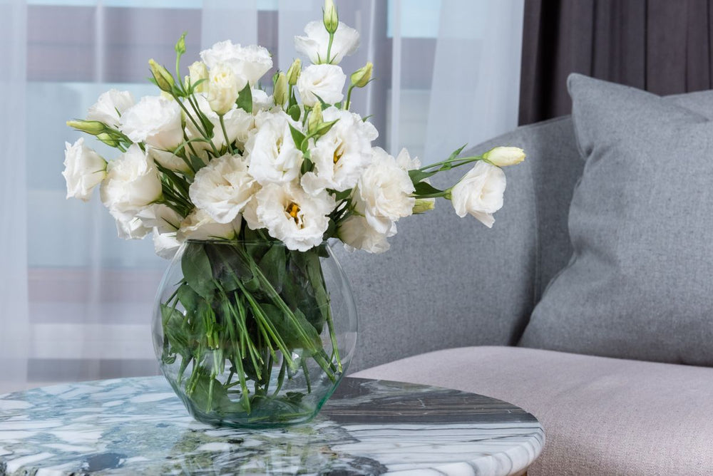 White lisianthus flowers in glass vase styled in a naturally lit living room; proposed house-flower presentation. Photo: Max Vakhtbovych / Pexels. Reference image; final flowers and wrap subject to florist confirmation.