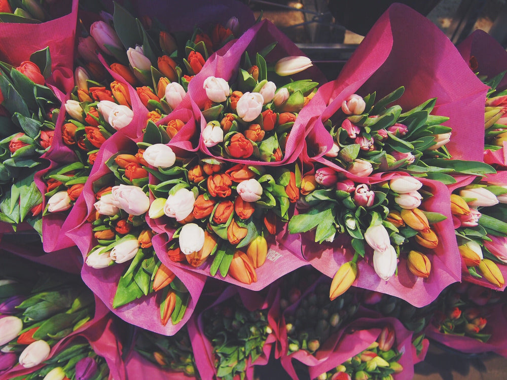 Colourful wrapped tulip bouquets, illustrative two-bouquet pairing.