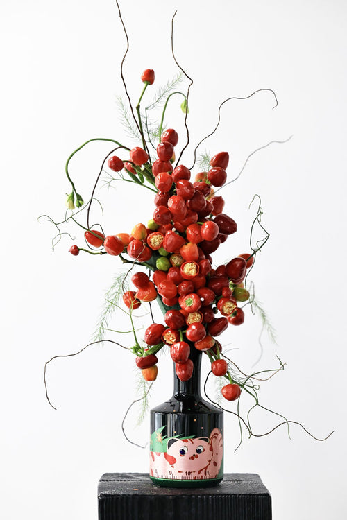 Red chilli peppers and greenery against a white background; Capsicum fruit/foliage illustration only, not the actual potted ornamental cultivar. Photo: Andy Lee / Pexels.