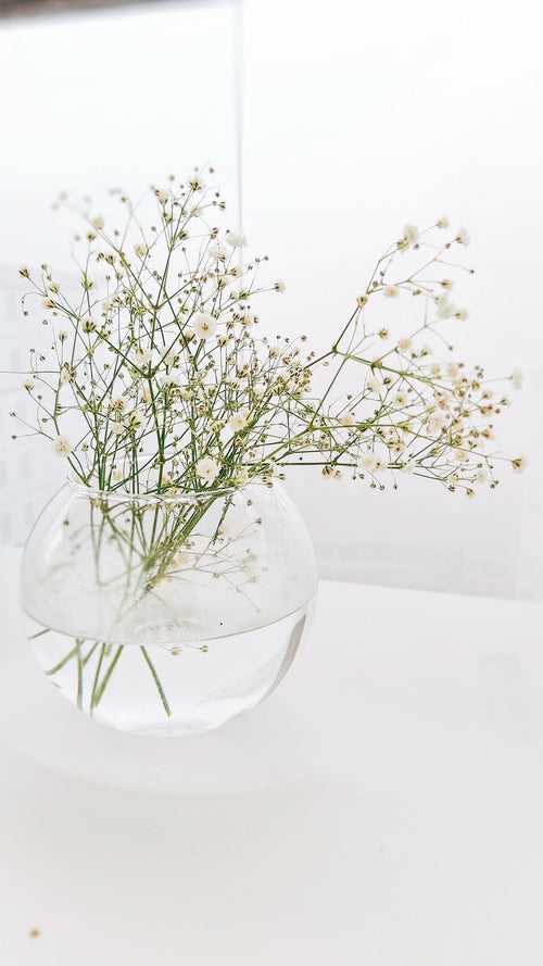 Round clear glass flower bowl with small white blooms against white; general shape reference only, not the exact ribbed 20 cm vase. Photo: yasemin . / Pexels.