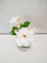 White Gardenia flowers displayed in clear glass against a light minimalist background; accurate flower genus detail, not the potted Luma shrub. Photo: Sofía Schmidt / Pexels.