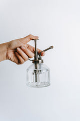 Plant-spraying equipment in a light background scene; use-case reference only, not the exact clear-and-gold 210 mL mister. Photo: Teona Swift / Pexels.