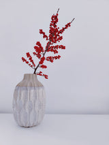 Decorative red berry branch against white; seasonal berry/styling reference ONLY. Not the supplied live Ilex shrub; Luma's berries are artificial accents. Photo: id23 / Pexels.