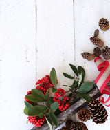 Conifer branches arranged against white; evergreen foliage texture reference only, not Juniperus chinensis exact Blue Point cultivar or pot size. Photo: Candis Hidalgo / Pexels.