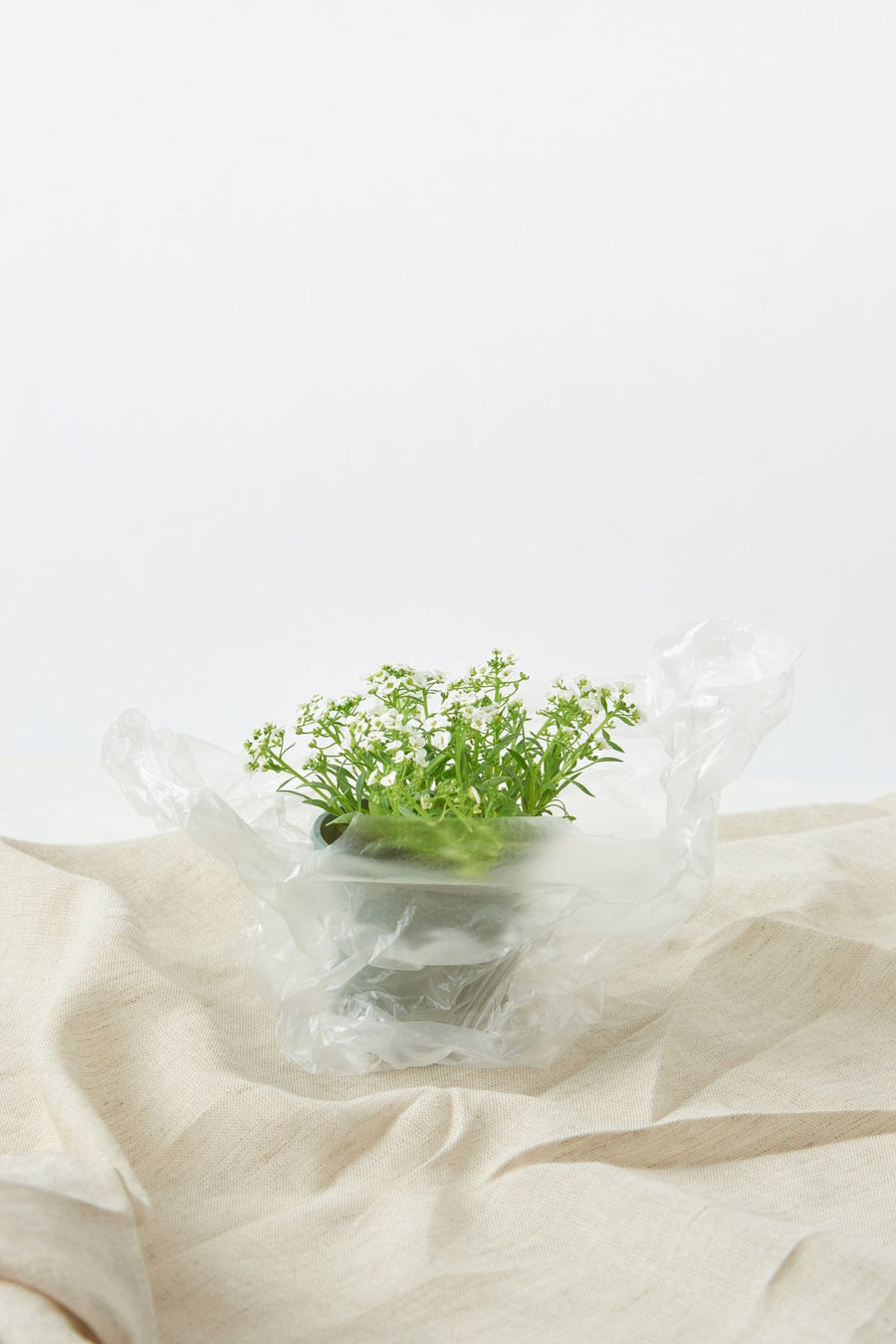 Luma Florist Carry Bag