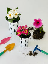 Potted plants with small gardening tools on a white backdrop; general plant-and-flower-care supplies illustration, not exact Luma kit contents. Photo: Sultan Güner / Pexels.