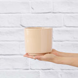 Migo Planter — Blush: migo blush 16cm; product photographed for reference