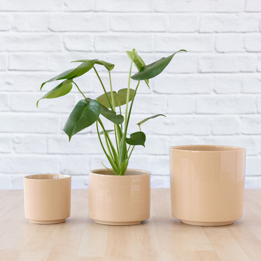 Migo Planter — Blush