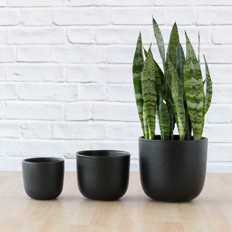 Moon Planter — Matte Black