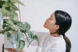 Trailing Scindapsus pictus on a pale white indoor wall; species/leaf texture reference only, not the selected 14 cm plant or 16 cm hanging basket. Photo: Sasha Kim / Pexels.