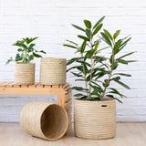 Natural Sinan baskets photographed together to demonstrate size range; product selection is a single basket of the chosen inner diameter