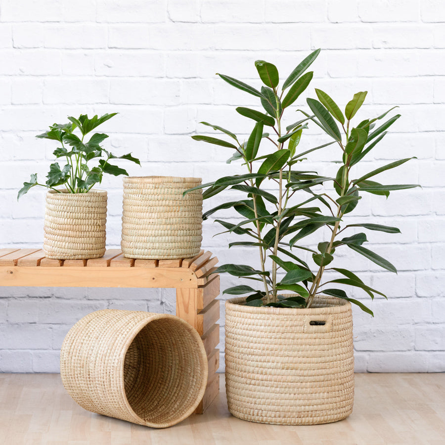 Sinan Basket — Natural