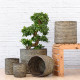 Various Sinan Black Stitch palm leaf baskets in natural and black weave shown for styling and scale; plant not included