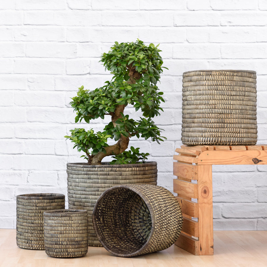Sinan Basket — Black Stitch