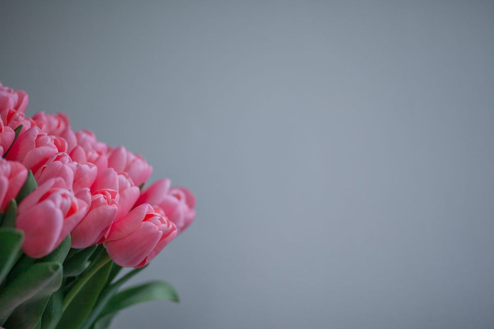 Soft Pink Tulip Bouquet