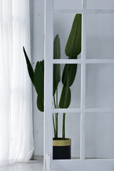 Strelitzia bird-of-paradise plant in a minimalist white-background interior; reference photo, shown larger than the listed young nursery plant. Photo: Yusra Mizgin Günay / Pexels.