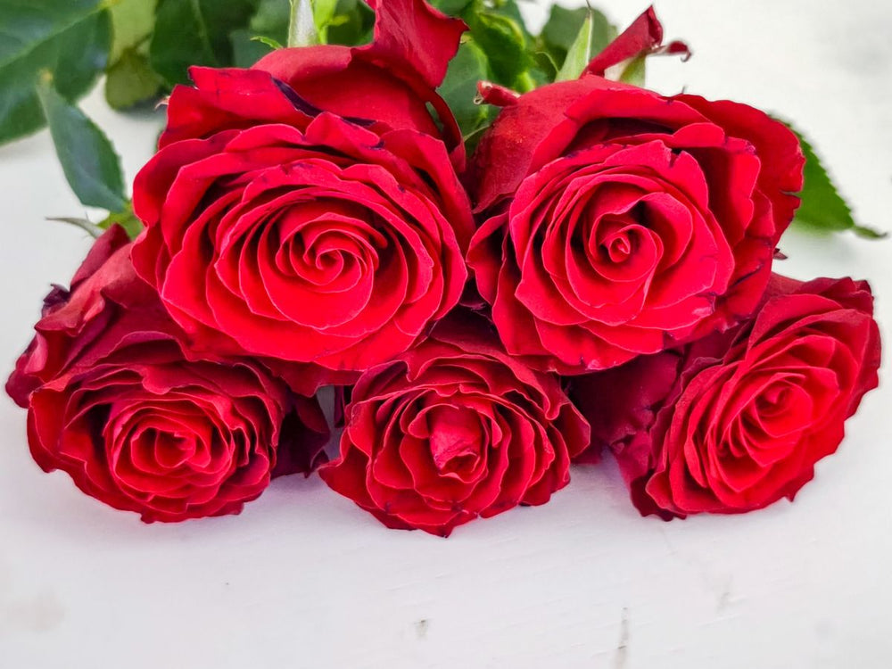 The Signature Red Roses