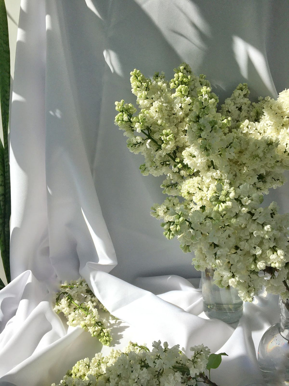 White flowers with green foliage arranged in a clear glass vase against white fabric; indicative styling, actual vase and composition differ. Photo: Anna Orlova / Pexels.