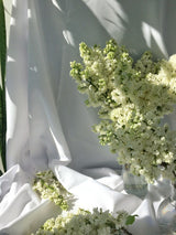 White flowers with green foliage arranged in a clear glass vase against white fabric; indicative styling, actual vase and composition differ. Photo: Anna Orlova / Pexels.