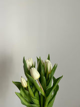 White tulip bouquet against a clean pale neutral background. Illustrative flowers; exact stem count and Luma wrapping may differ. Photo: Emilia Ilieș / Pexels.
